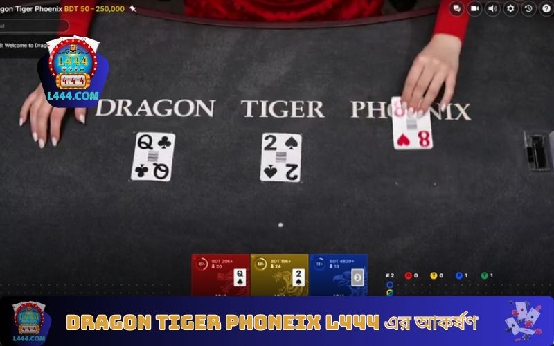 Dragon Tiger Phoneix L444 এর আকর্ষণ