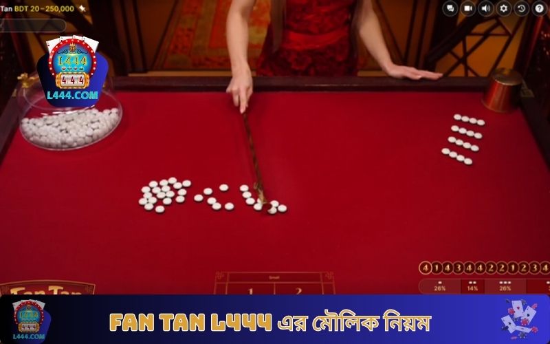 Fan Tan L444 এর মৌলিক নিয়ম