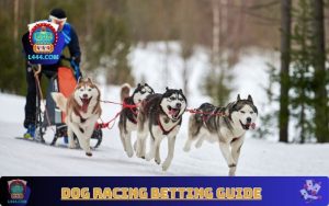 Dog Racing Betting Guide – জয়ের গাইড L444 এর সাথে