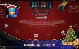 Double Up Blackjack on L444: Rules, Strategy and Guide